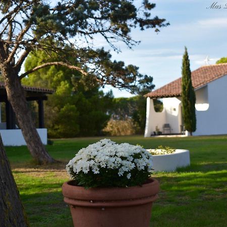 Hotel Mas Mls Saintes-Maries-de-La-Mer Exterior foto