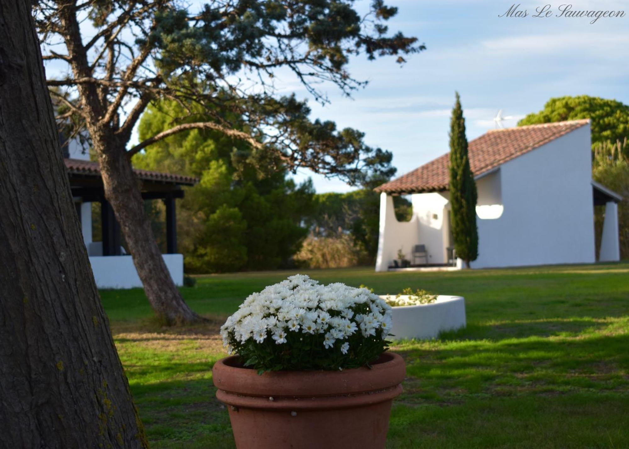 Hotel Mas Mls Saintes-Maries-de-La-Mer Exterior foto